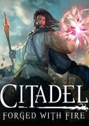 Buy Cheap Citadel: Forged with Fire PC CD Key