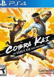 Buy Cheap Cobra Kai The Karate Kid Saga Continues PS4 CD Key