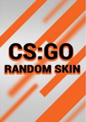 Buy Counter Strike Global Offensive Random Skin PC CD Key