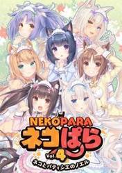 Buy Cheap NEKOPARA Vol. 4 PC CD Key
