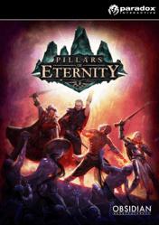 Buy Pillars of Eternity Hero Edition pc cd key for Steam