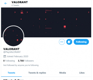 Riot Gamesâ€™ FPS Title could have already an official name: Valorant
