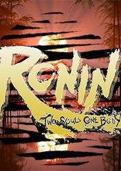 Buy Ronin Two Souls pc cd key for Steam